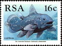 West Indian Ocean Coelacanth (Latimeria chalumnae)