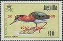 Green Heron (Butorides virescens) - Overprinted