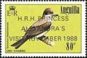 Grey Kingbird (Tyrannus dominicensis) - Overprinted