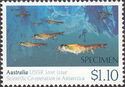 Krill sp. (Euphausia sp) - overprint