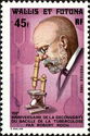 Robert Koch (1843-1910)