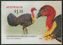 Australian Brush-Turkey (Alectura lathami)