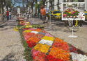 Flower Carpet