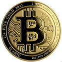 100 Dollars (Bitcoin)