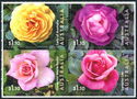 Australian Roses