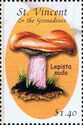 Wood Blewit (Lepista nuda)