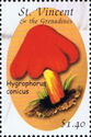 Hygrophorus conicus