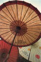Traditional Oilpaper Umbrella