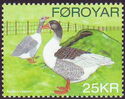 Viking Goose (Anser anser domestica)