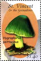 Parrot Toadstool (Hygrophorus psittacinus)