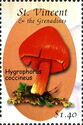 Scarlet Waxcap (Hygrophorus coccineus)