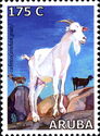Aruban Goat (Capra hircus)