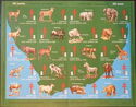 Tuberculosis Christmas Seals Sheet (wildlife) 1968