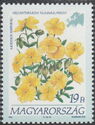 Helianthemum nummularium