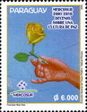 Hand holding Yellow Rose