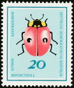 Two-spotted Ladybird (Adalia bipunctata)
