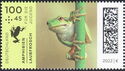 European Tree Frog (Hyla arborea)