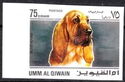 Bloodhound (Canis lupus familiaris)