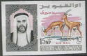 Slender-horned Gazelle (Gazella leptoceros), Sheik