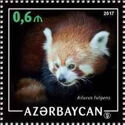 Himalayan Red Panda (Ailurus fulgens)