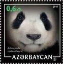 Giant Panda (Ailuropoda melanoleuca)