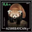 Himalayan Red Panda (Ailurus fulgens)