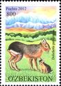 Patagonian Mara (Dolichotis patagonum)