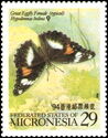 Great Eggfly (Hypolimnas bolina), typical female