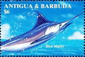 Blue Marlin (Makaira nigricans)