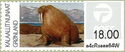 Walrus (Odobenus rosmarus)