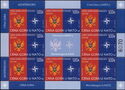 Coat of Arms of Montenegro and NATO Logo