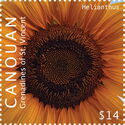Helianthus