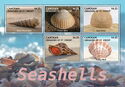 Seashells