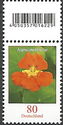 Nasturtium (Tropaeolum majus)