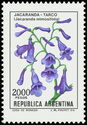Jacaranda-Tarco (Jacaranda mimosifolia) - Phosphor