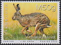 Brown Hare (Lepus europaeus)
