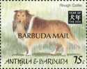 Rough Collie - Overprinted