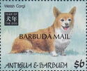 Welsh Corgi - Overprinted