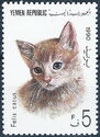 Domestic Cat (Felis silvestris catus)