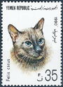 Domestic Cat (Felis silvestris catus)