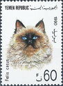 Domestic Cat (Felis silvestris catus)