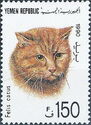 Domestic Cat (Felis silvestris catus)