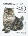 Persian Cat (Felis catus)