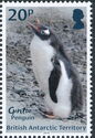 Gentoo Penguin (Pygoscelis papua)