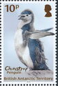 Chinstrap Penguin (Pygoscelis antarcticus)