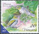 Silvereye (Zosterops lateralis)