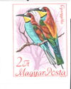 European Bee-Eater (Merops apiaster)