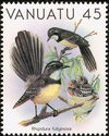 Gray Fantail (Rhipidura fuliginosa)