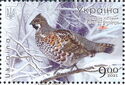 Hazel Grouse (Tetrastes bonasia)