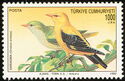 Golden Oriole (Oriolus oriolus)